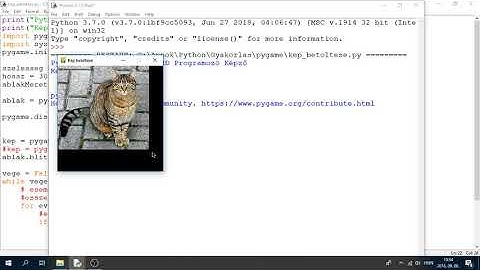 Python Programozás Oktatás: Pygame - Kép megjelenítése