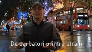Dj Sebi  - De sarbatori printre straini