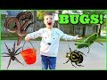 BUG HUNT With Caleb & Mommy! CATCHING BUGS For Kids!