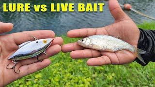 Live Bait VS Artificial Bass Fishing Challenge! Livebait Vs Artificial Fishing Challenge