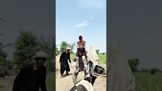 #shrotsvideo #funny #newमारवाड़ीcomedy #comedy #manimeralcomedy