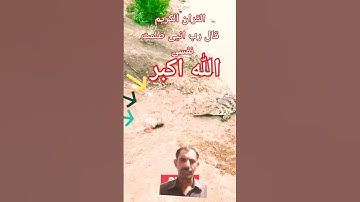 #القران_الكريم #تلاوه_خاشعه #قال رب انی ظلمت نفسی #الشيخ محمود الشحات #اكسبلور #foryou