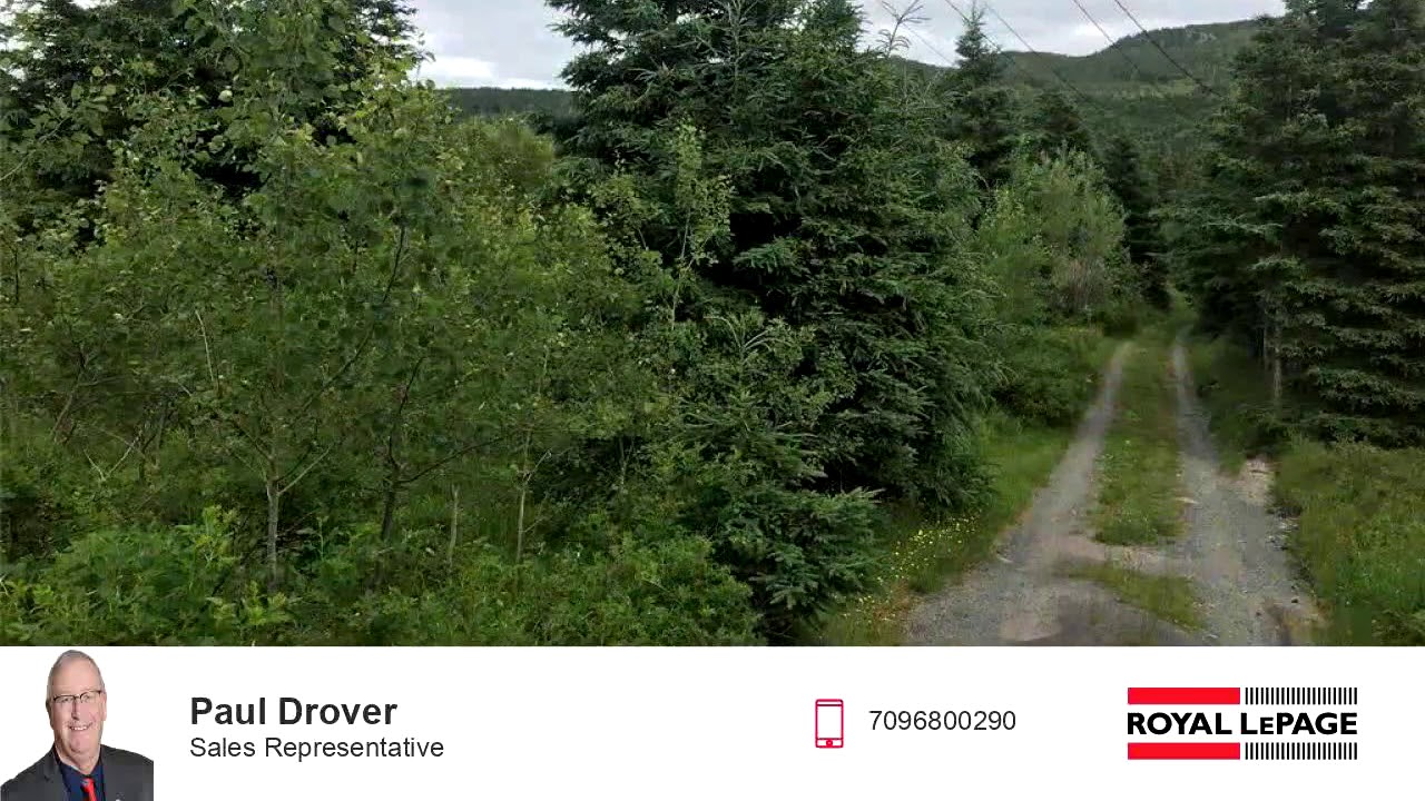 LotLand for sale 0 Snows Lane Road, North River, NL A0A 3C0 YouTube