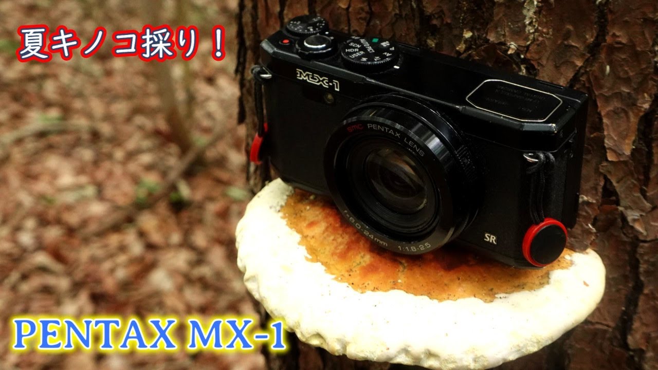 Summer Mushroom Picking] Taking still images with the powerful