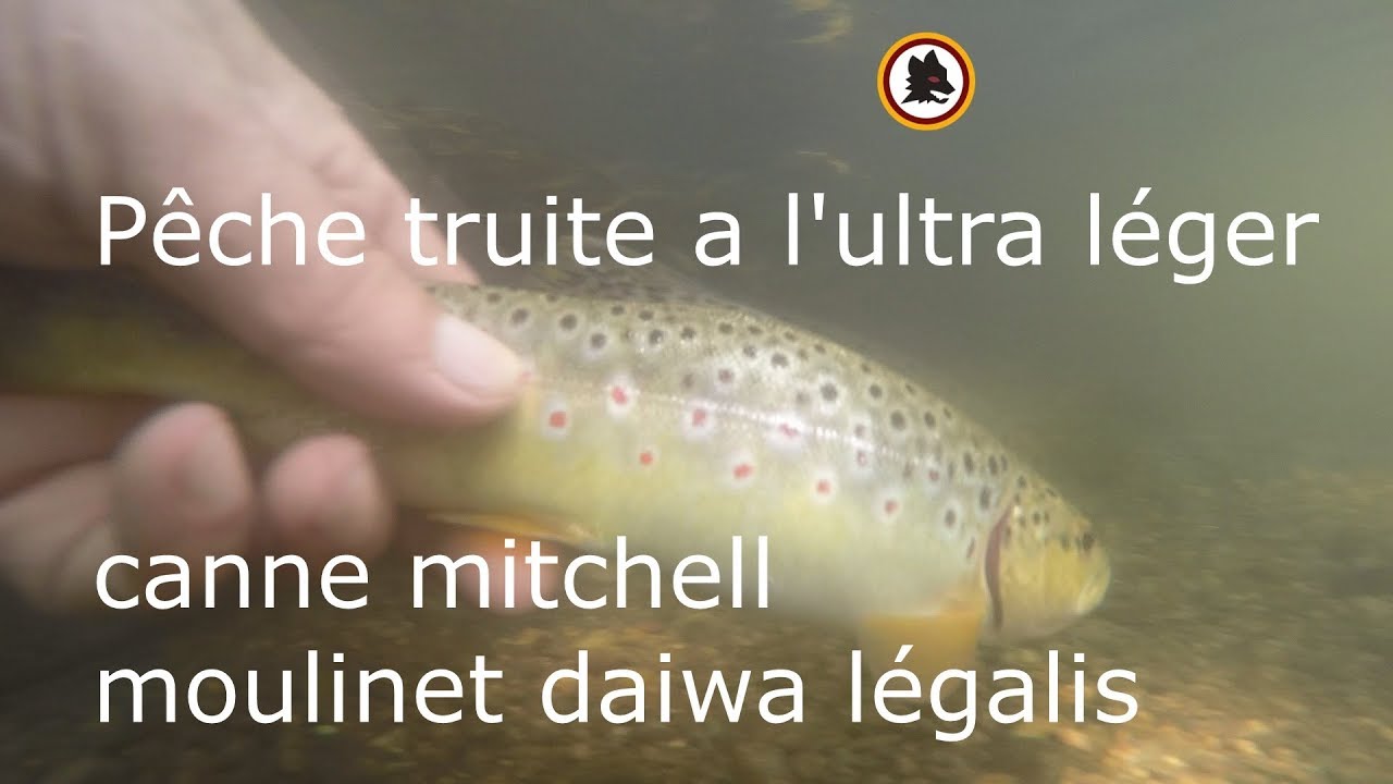 PECHE TRUITE A L'ULTRA LEGER, DAIWA LEGALIS,CANNE MITCHELL
