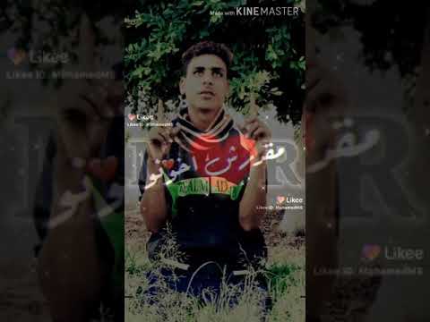 حب عمري كيمو كينو