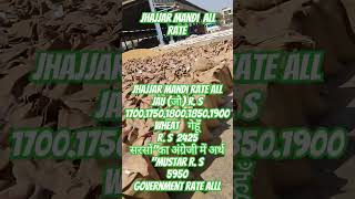 Jhajjar mandi rate Jau (जौ) r. S 1700 se1900  wheat  गेहूँ R.s 2425 सरसों" "mustar R.s 5950 govt rat