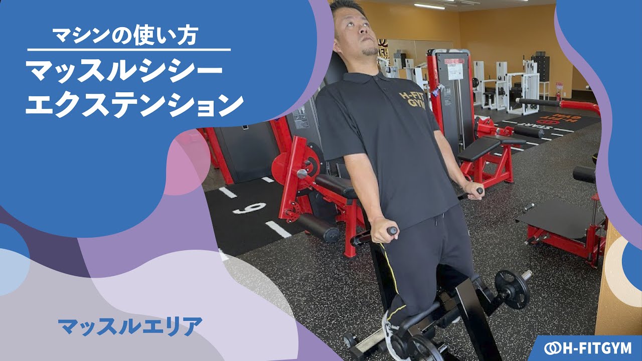 鍛錬マッスルライン　シーシーエクステンション 鍛錬マシン｜マッスルシシーエクステンション【マッスルライン】マシン