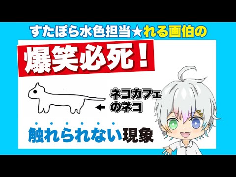 【すたぽら】れるくん文字起こし|れる画伯のネコカフェのネコ触れられない現象
