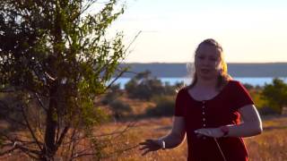 Alexandra learnbiology: Происхождение жизни. Урок биологии №74 Alexandra learnbiology: Происхождение жизни. Урок биологии №74