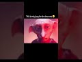 Would dobby beat a Jedi?