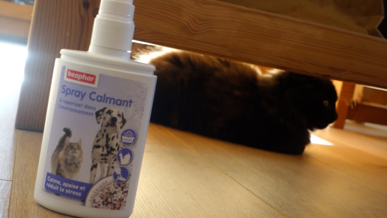 Beaphar Spray calmant à la Valériane pour chats et chiens