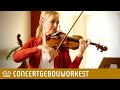 First violinist Marleen Asberg | Concertgebouworkest