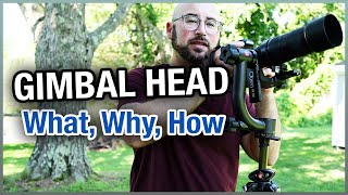 Carbon Fiber Gimbal Head - What, Why And How With The Oben Gh-30C