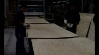 8 Poly patch line
