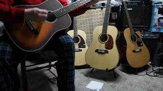 10 String Guitar 5ths Tuning cC gG dD aA EE "Ohio"