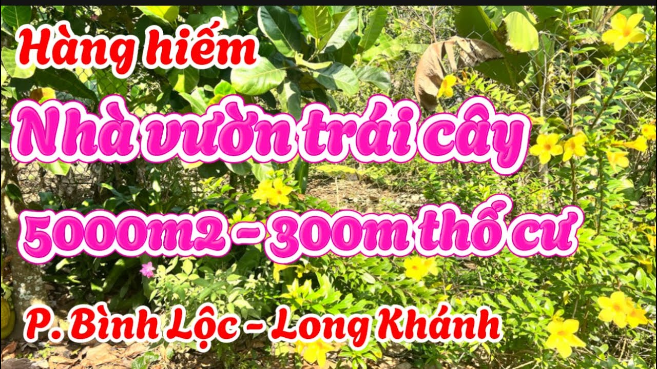 Nhà vườn trái cây Long Khánh. Hai mặt đường có 300m thổ cư . Dân cư đông đúc.
