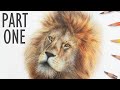 REALTIME How to Draw a LION with COLORED PENCIL | Part One