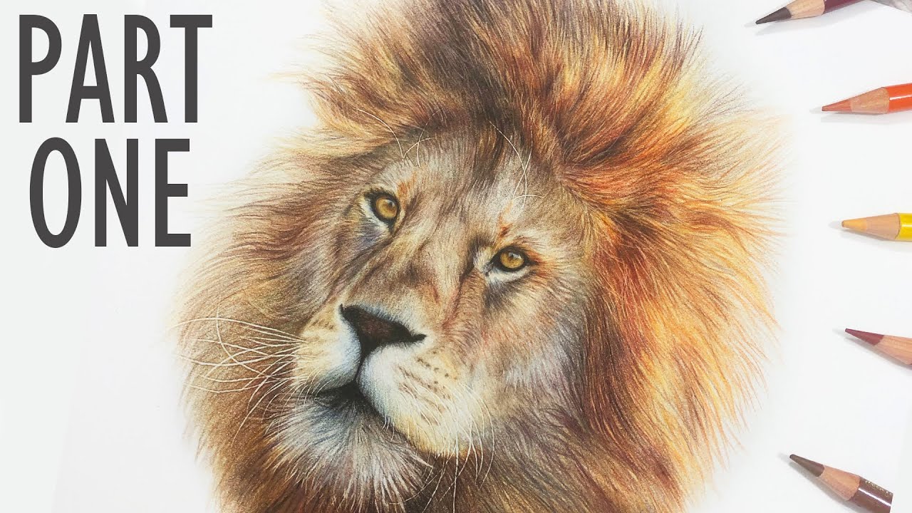 Lion Drawing - Create a Majestic and Powerful Lion Sketch