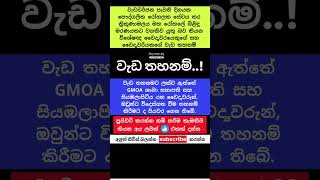 ප්‍රධාන වෛද්‍යවරු දෙන්නෙකුගේ වැඩ තහනම් lanka