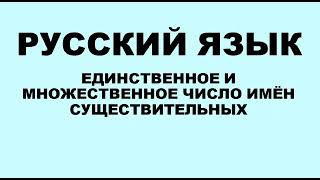 Русский язык. 2 класс. Единственное и множественное число имён существительных.