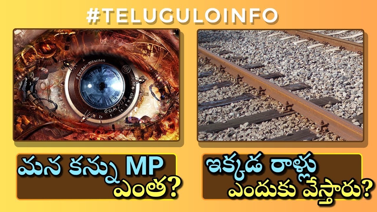 Why do Dogs Chase? | Megapixels of Human Eye? | Interesting Questions & Answers | 