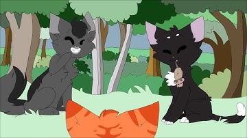 Warrior cats MAP: Hurricane part 4