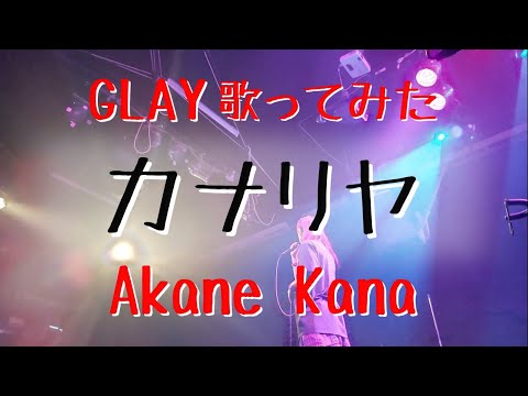【女性が歌う】GLAY / カナリヤ　covered by 赤音 叶