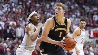 Danny Wolf Declares for NBA Draft: Michigan Star's Journey