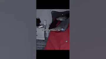 حطها منبه لصلاة الفجر اكسبلور اكسبلور 