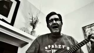Genius Of Love - The Tom Tom Club (uke cover)