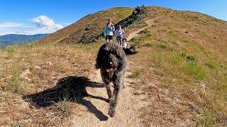 Cervidae Peak Walk & Talk | Boise Idaho