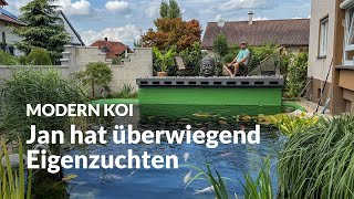 Jan's self-built 30,000-liter pond | Modern Koi Blog #7239