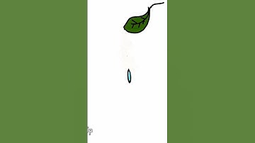 I animated a water drop falling from a leaf .#flipaclip #shorts