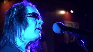 Todd Rundgren Pretending to Care A Night Of Harmony