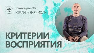 Критерии Восприятия. Юрий Менячихин