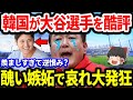 愛国心をこじらせてしまいました【ゆっくり解説】