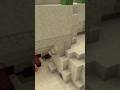 Extremely Rare Minecraft Spawn.