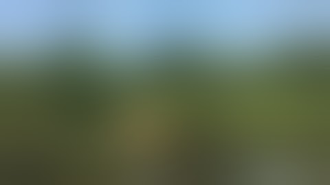 تلاوة قرآنيه مباركه للشيخ محمد صالح سطوحى