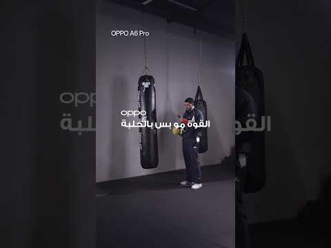  6  ملك المتانة