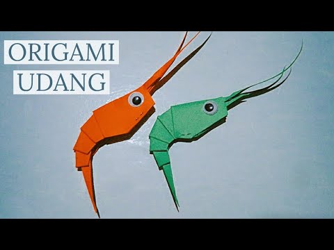 Cara Buat  Udang Dari  Kertas  Origami Hewan YouTube