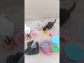 الجو حار حتى الماء حيدوه ليهم الجو حار حتى الماء حيدوه ليهم
