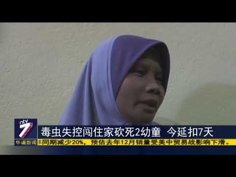 毒虫失控闯住家砍死2幼童 今延扣7天