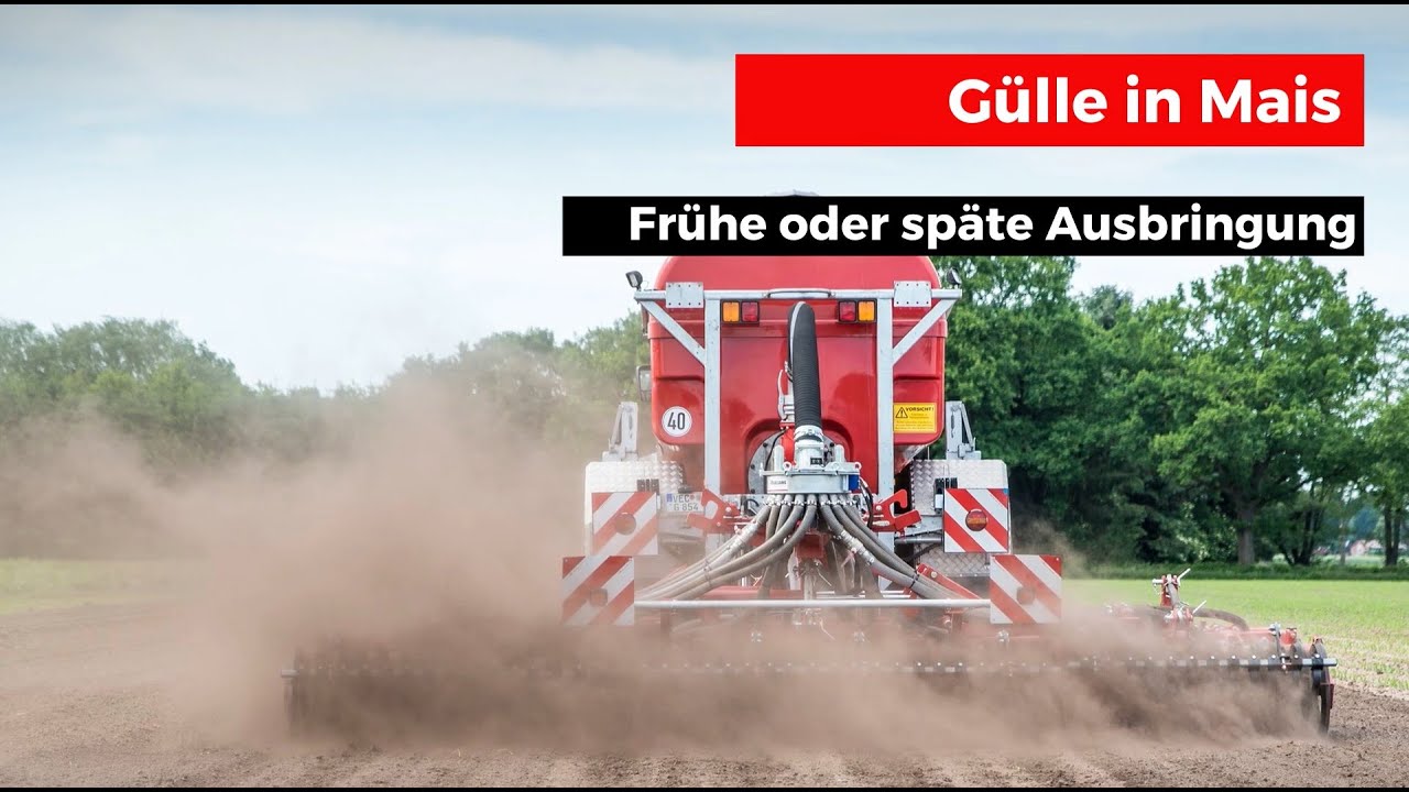 Glle in den Mais: Besser vor der Einsaat oder in den Maisbestand?