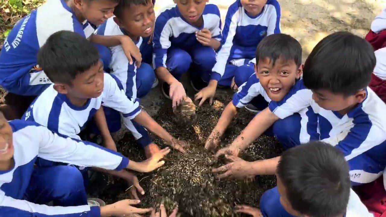 🌳 Small Hands, Big Learning 🌱 | A Day in Our Lives – Fourth Grade