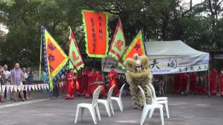 香港功夫表演201609254