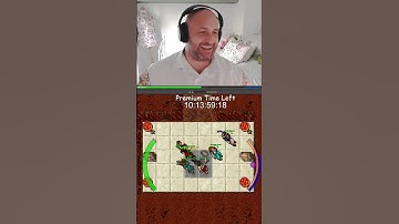 Tibia Desert Dungeon Quest as Monk 2025 #gaming #livestream #twitchstream #twitch #games #tibia