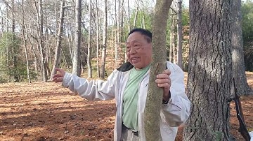 Peb Hmoob Tuaj Nkaum Toj Qaib USA 2022