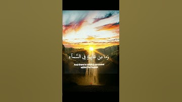 وان ربك ليعلم ما تكن صدورهم - سورة النمل - القارئ اسلام صبحي