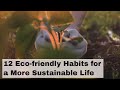 12 Eco friendly Habits for a More Sustainable Life